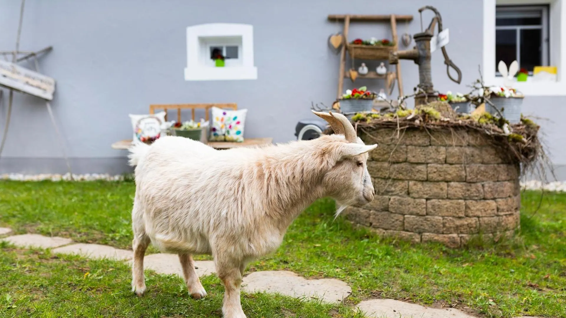Ferienhaus Annodazumol Waischenfeld